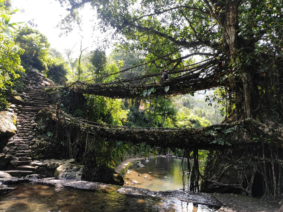 Clouds & Canyons – Meghalaya Adventure