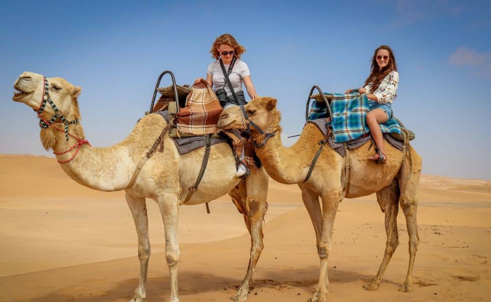Top Reasons to Explore Rajasthan on Your Next Tour