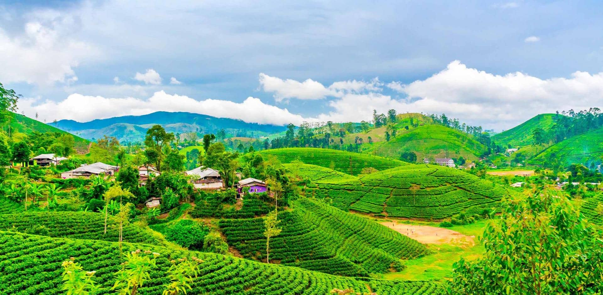 Darjeeling, Gangtok, Pelling & North Sikkim Expedition