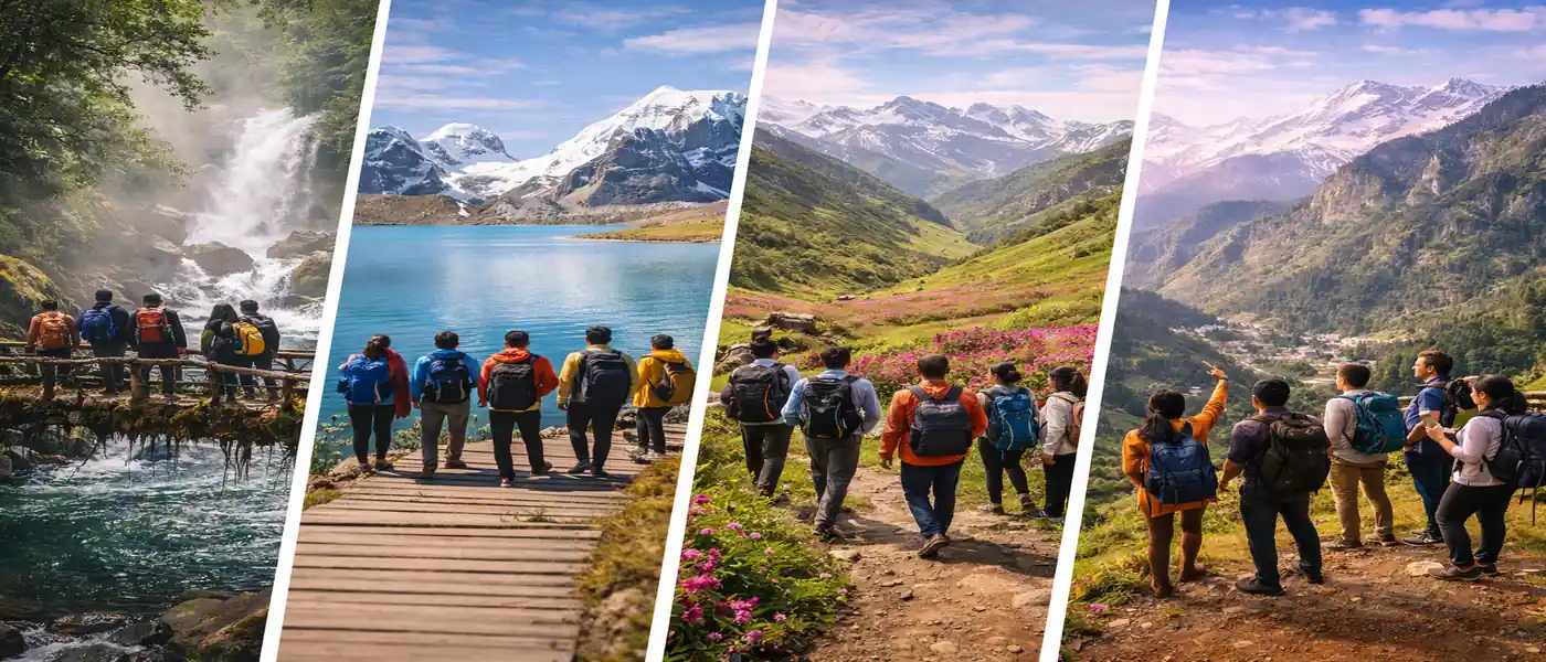 Group Tour Packages
