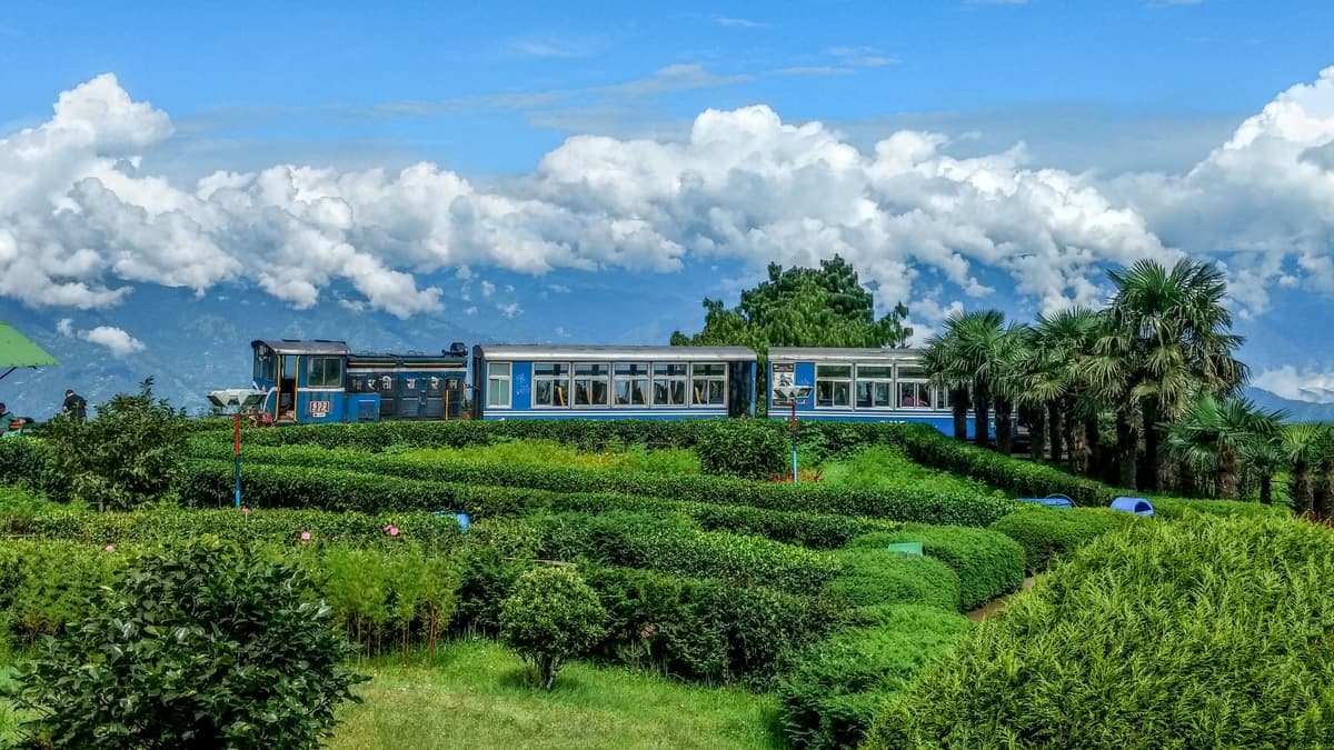 Darjeeling Tour Guide for Families: Tea Gardens, Toy Train & Smart Travel Tips