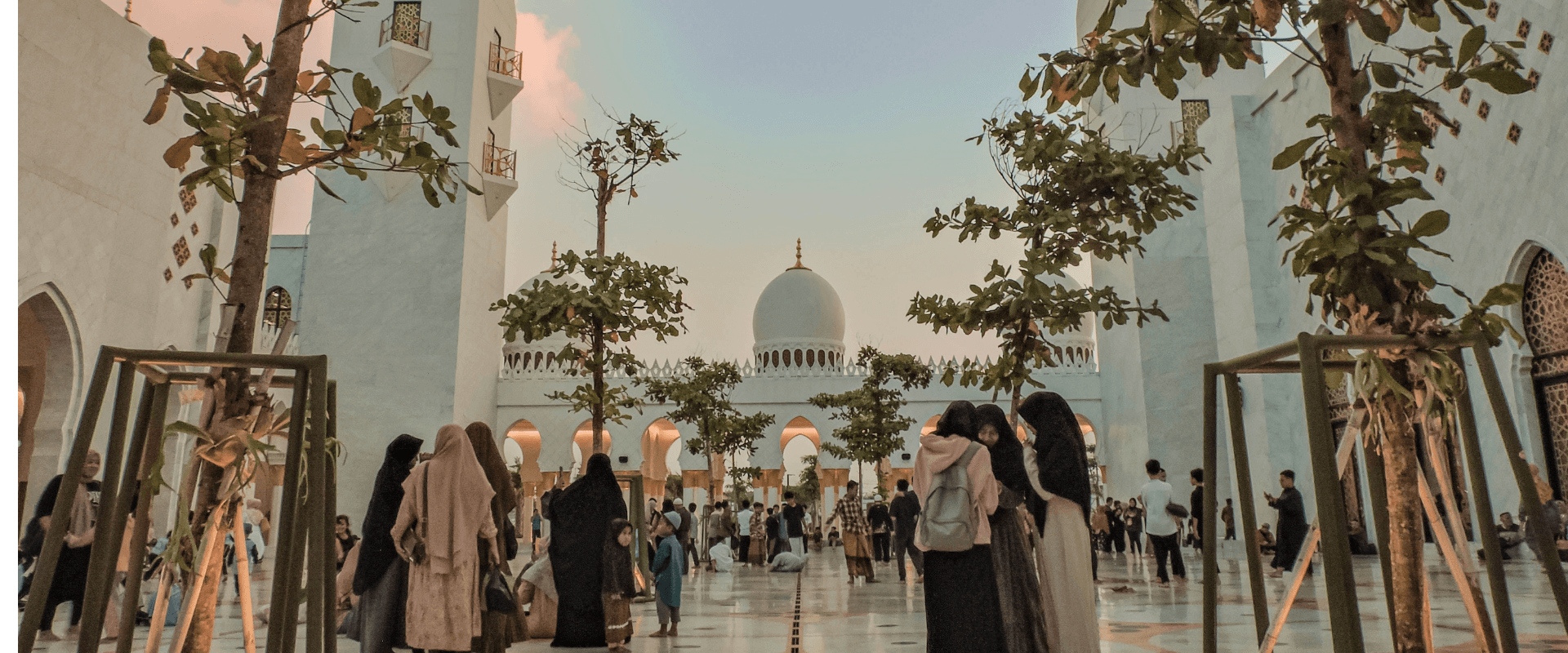 Dubai + Abu Dhabi Luxury Tour image 2