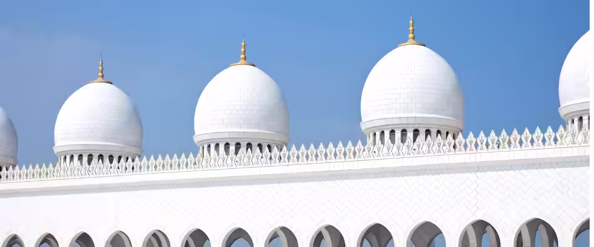 Dubai + Abu Dhabi Luxury Tour image 6