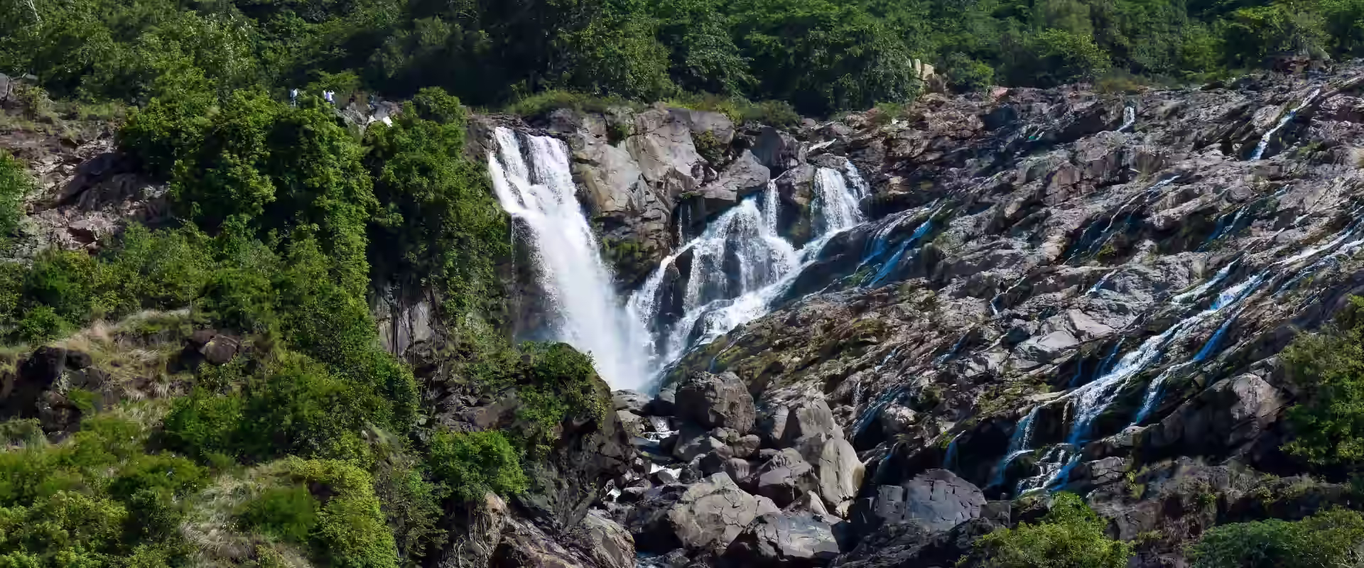 Goa + Dudhsagar Waterfall + Spice Plantation image 3