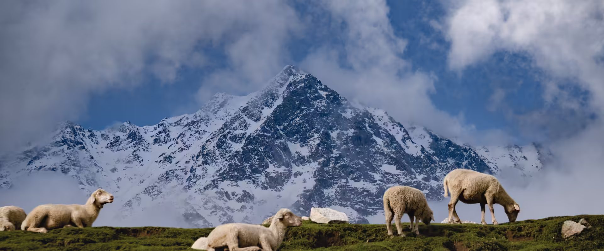 Triund Trek Package from Delhi image 3