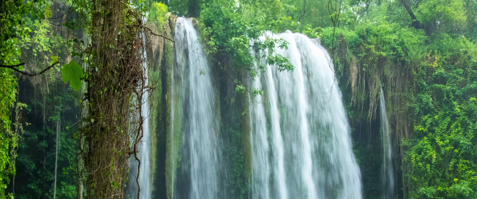 Whispers of Khareef – Salalah Escape image 6