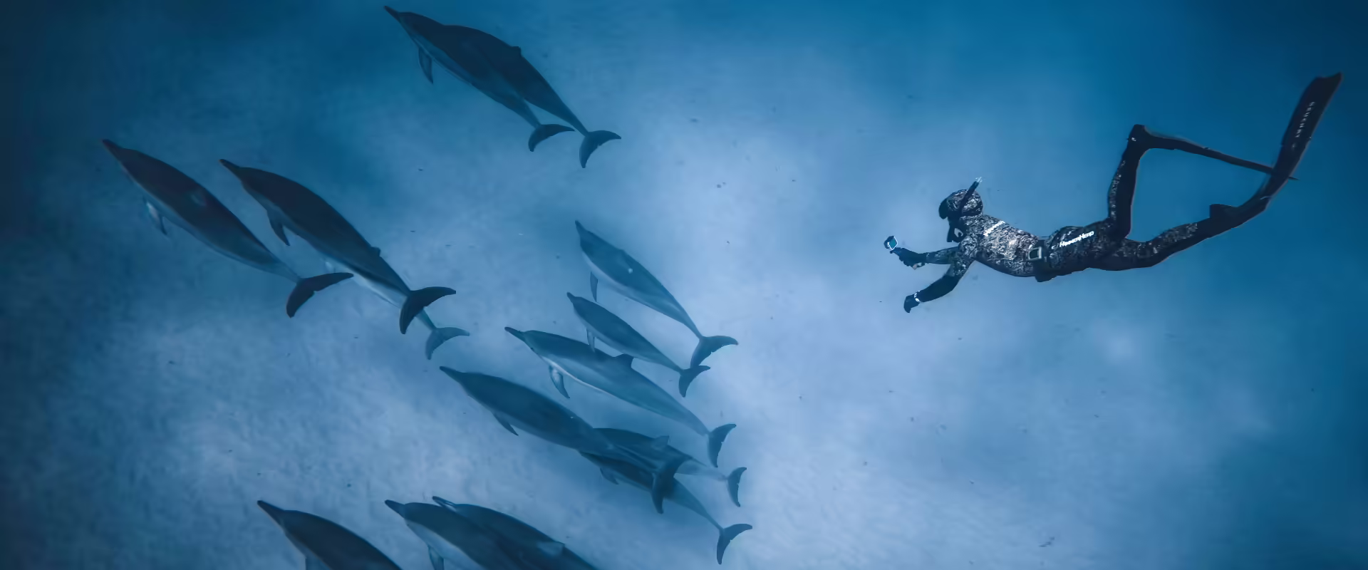 Maldives Tour Package from Delhi​ image 6