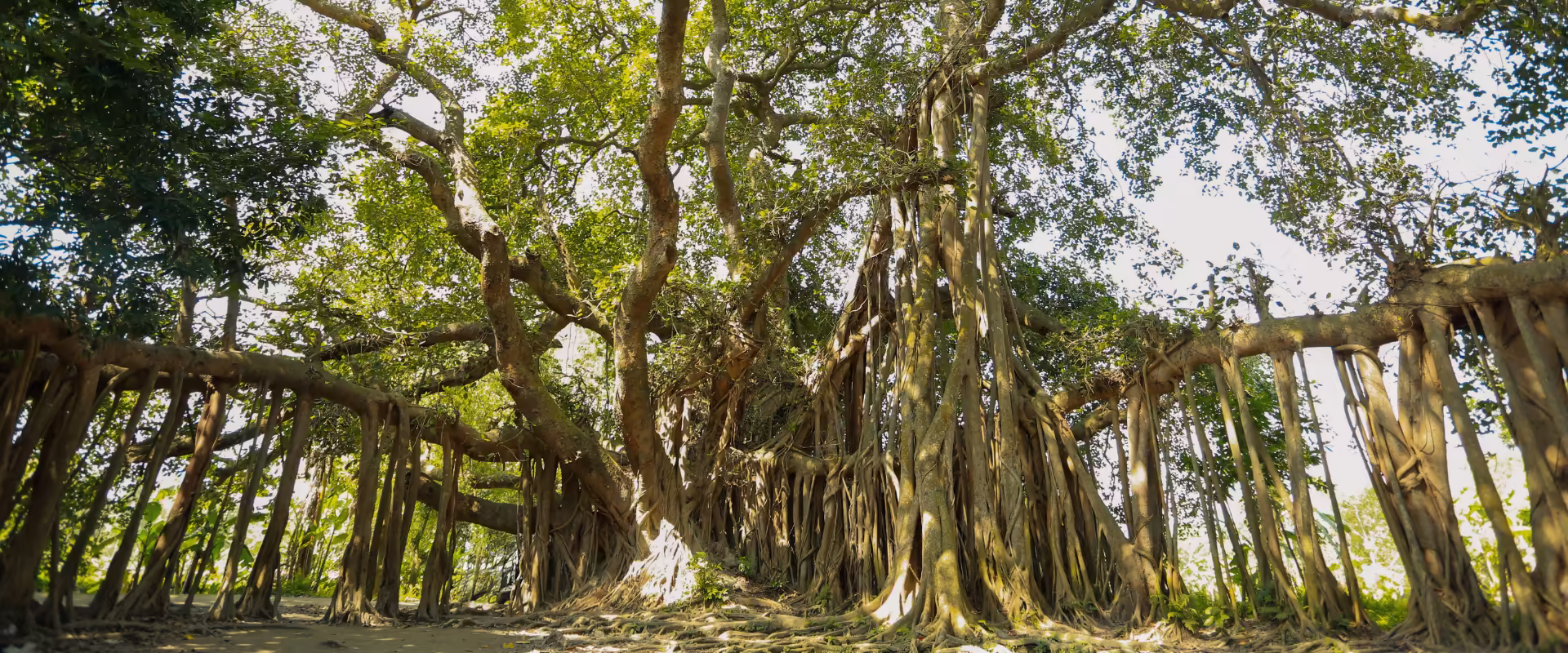 Meghalaya Extreme Adventure Expedition image 2