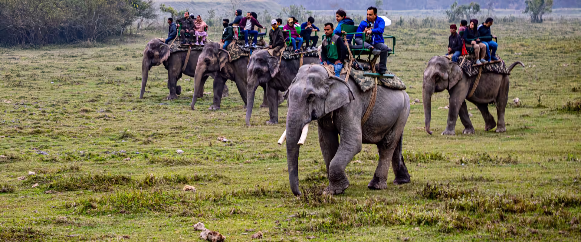 Meghalaya–Kaziranga Wilderness Circuit image 7