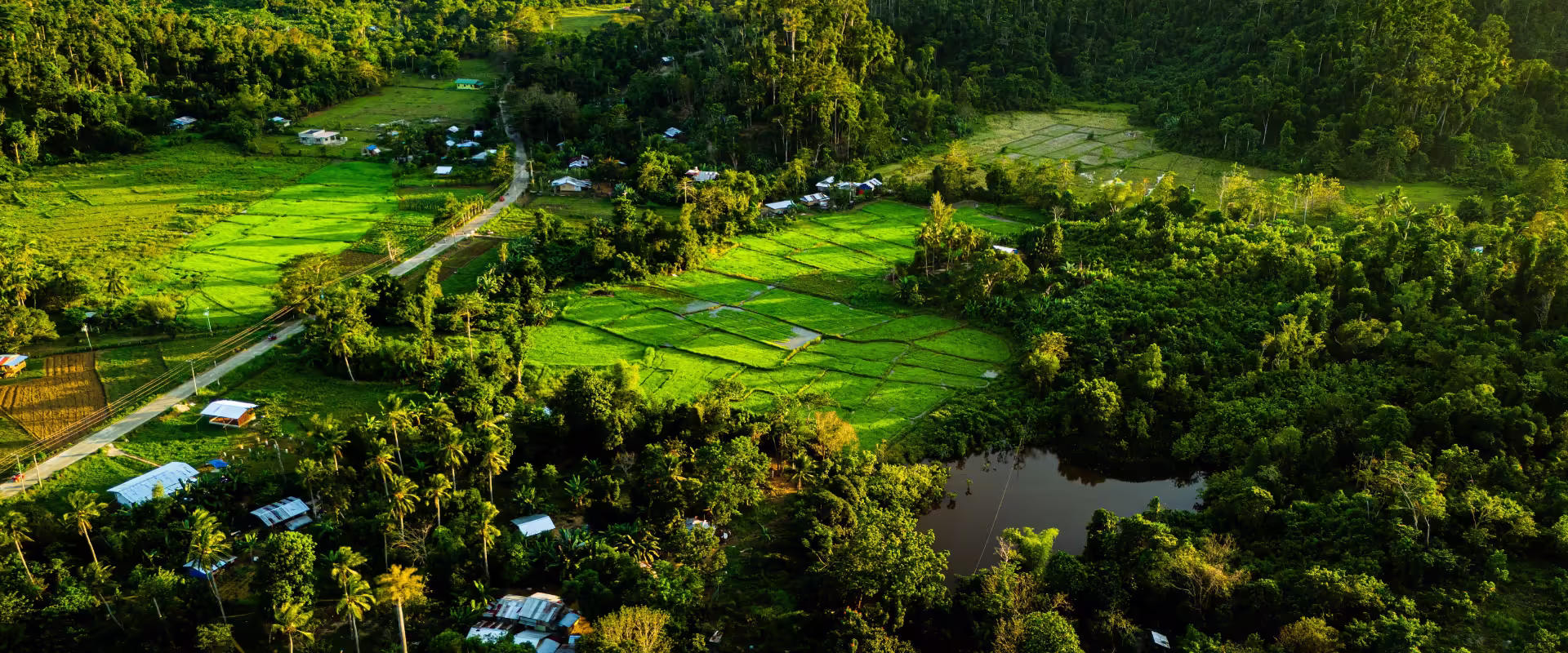 Meghalaya Tour Package - 2N/3D Weekend Trip image 4