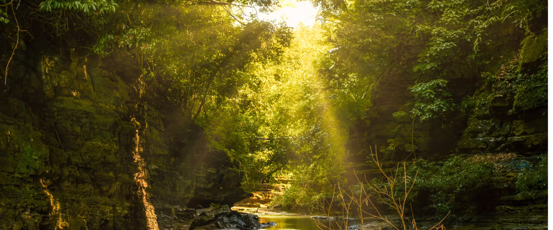 Meghalaya Tour Package - 2N/3D Weekend Trip image 9