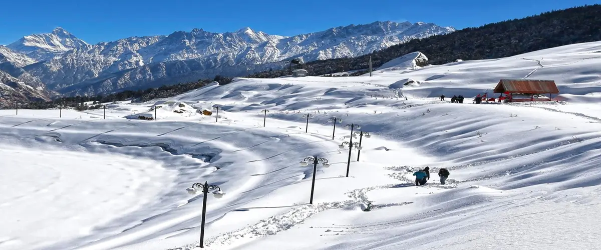 Auli Joshimath Tour Package