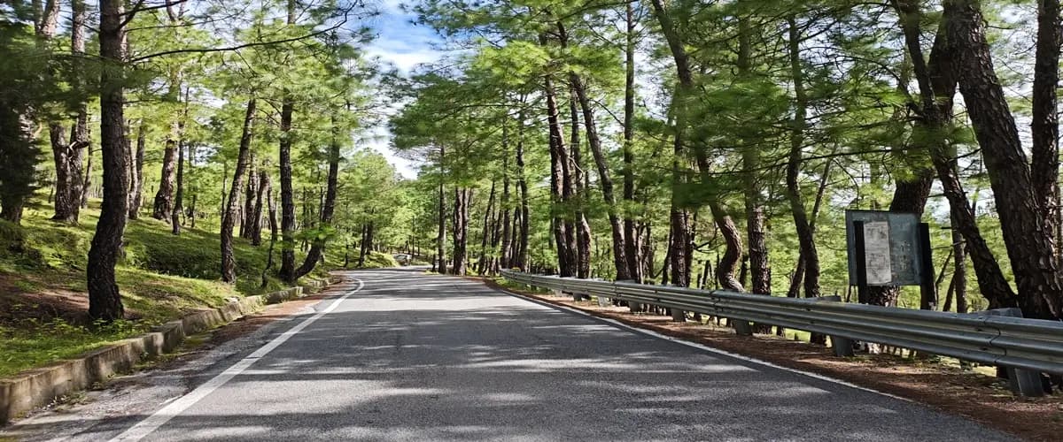 Mussoorie Landour Tour Package image 3