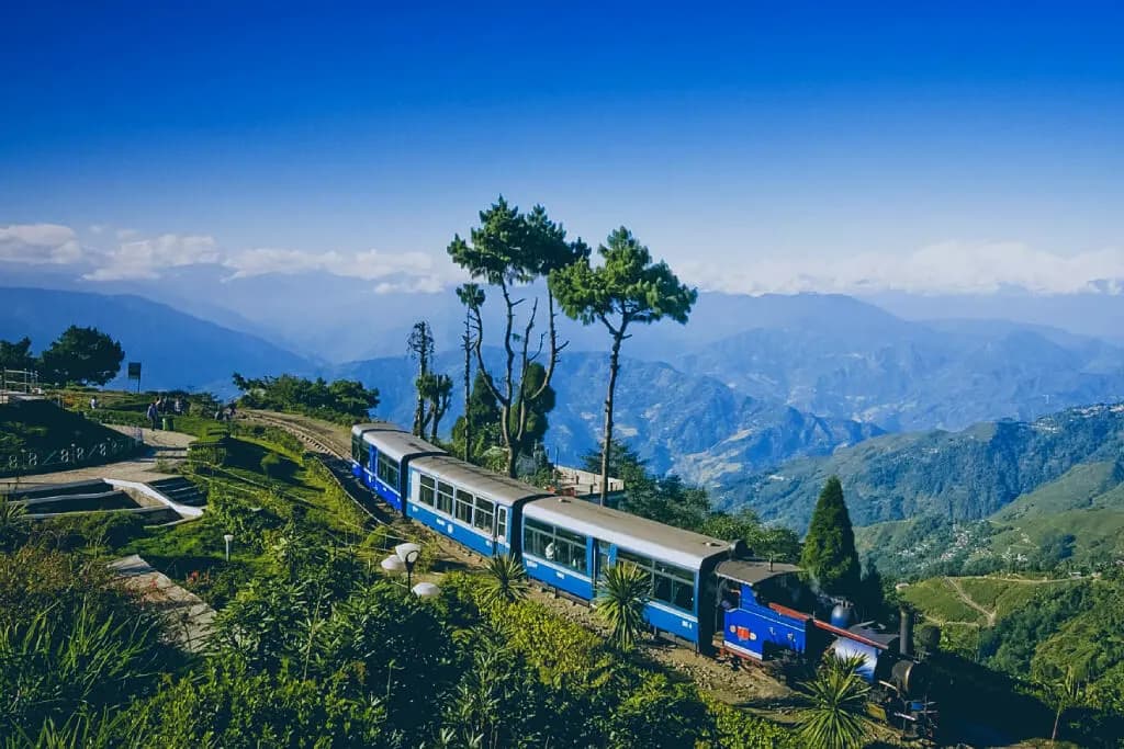 Darjeeling Tour Guide for Families – Tea Gardens, Toy Train & Travel Tips