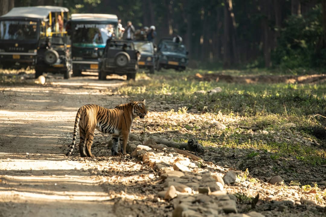 Serene Corbett & Ranikhet