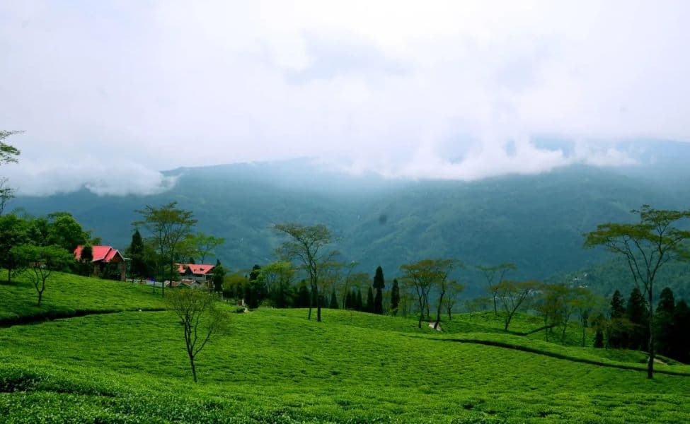 Tourists Continue to Visit North Bengal Despite Heavy Weather Disruptions