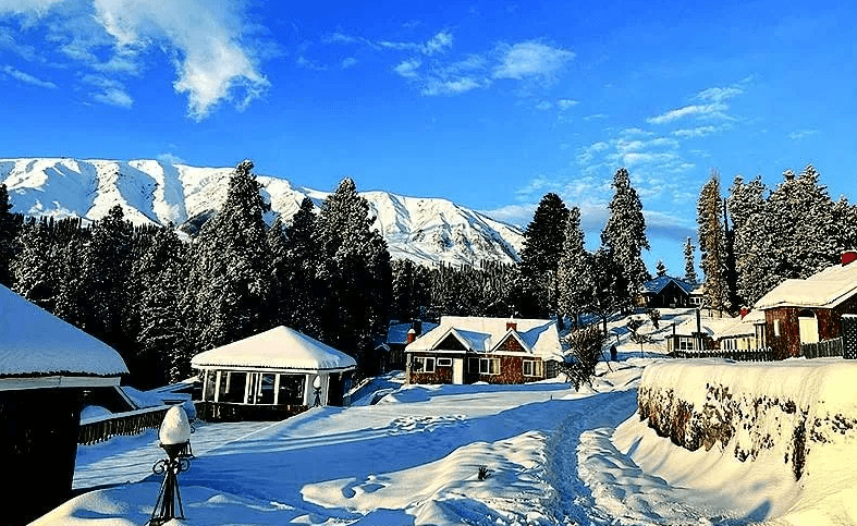 Fresh Snow Puts Gulmarg In Peak Winter Form