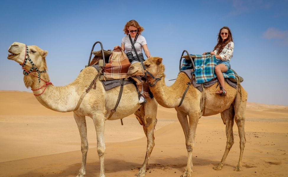 Top Reasons to Explore Rajasthan on Your Next Tour