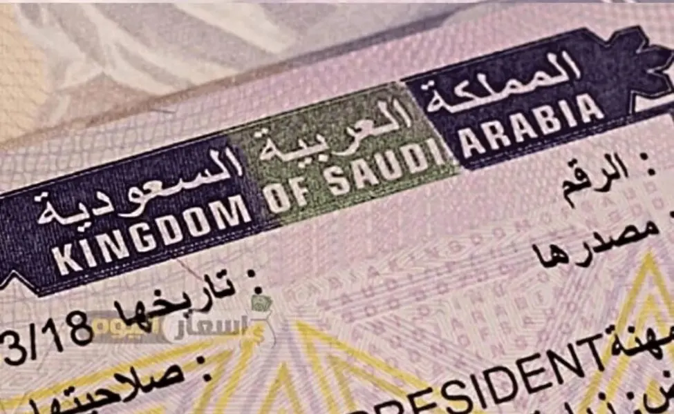 Saudi Arabia Unveils Instant e-Visa Platform: What Indian Travellers Need to Know