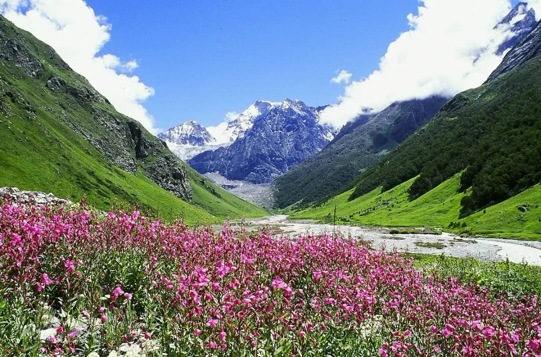 Valley of Flowers Uttarakhand scenic view with colourful alpine blooms and Himalayan mountains