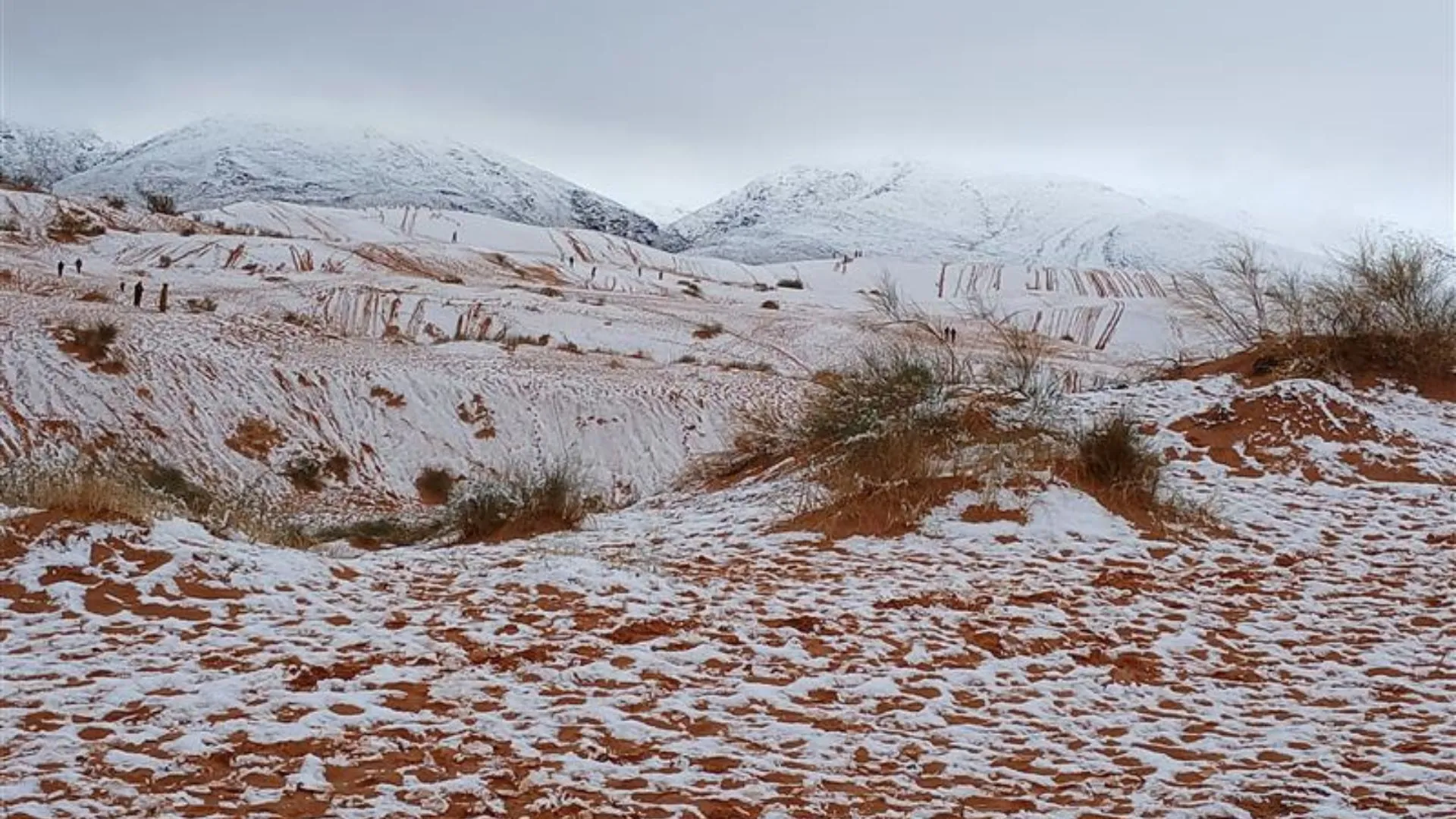 When Deserts Turn White: Snowfall in the World’s Driest Lands