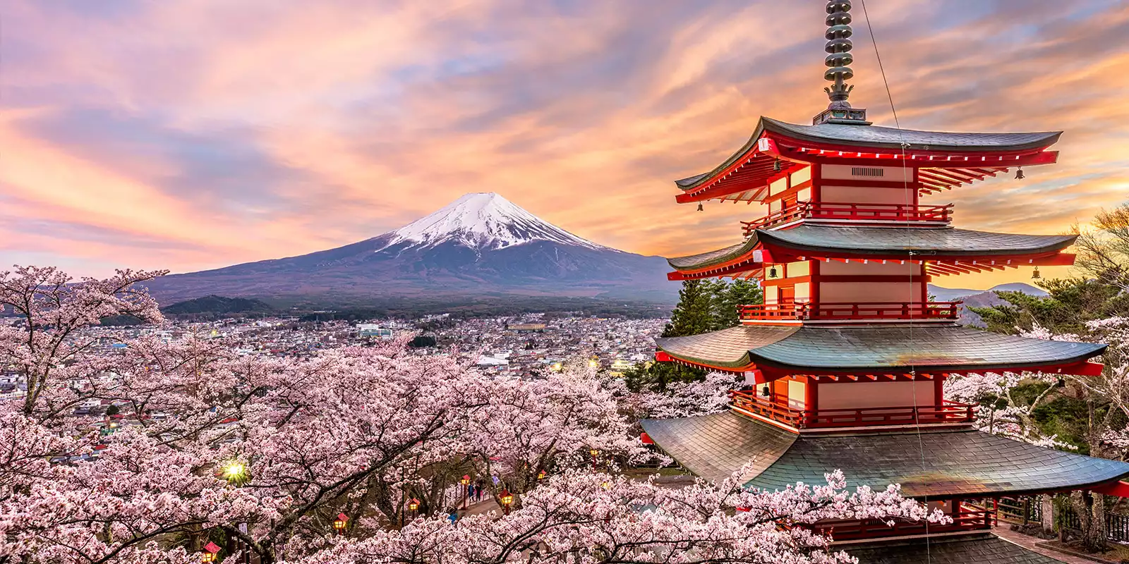 Japan Visa System Updates With Mandatory Appointments