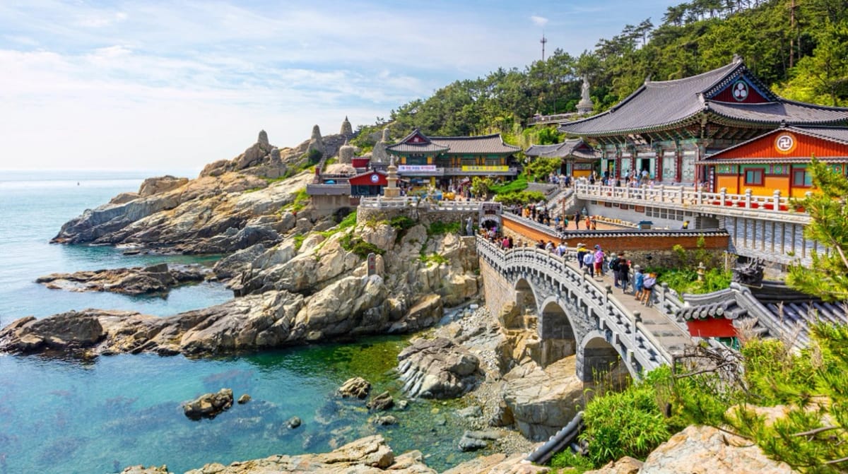 South Korea Extends Visa Fee Waiver for Group Tourists from India and 5 Other Countries Until June 2026