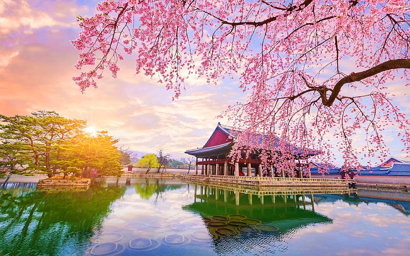 Explore Packages in Korea