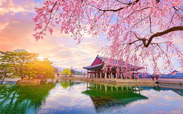 South Korea tourism showcasing Seoul skyline, royal palaces, Jeju Island nature, traditional villages, and modern city life