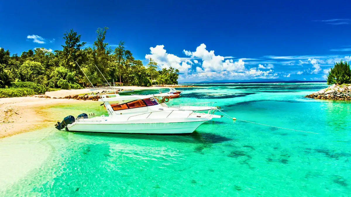 5 Visa-Free Countries for Indians Where January Is the Best Time to Travel