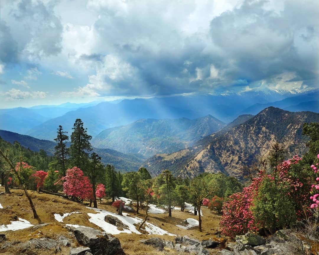 Nag Tibba Trek – The Serpent’s Peak