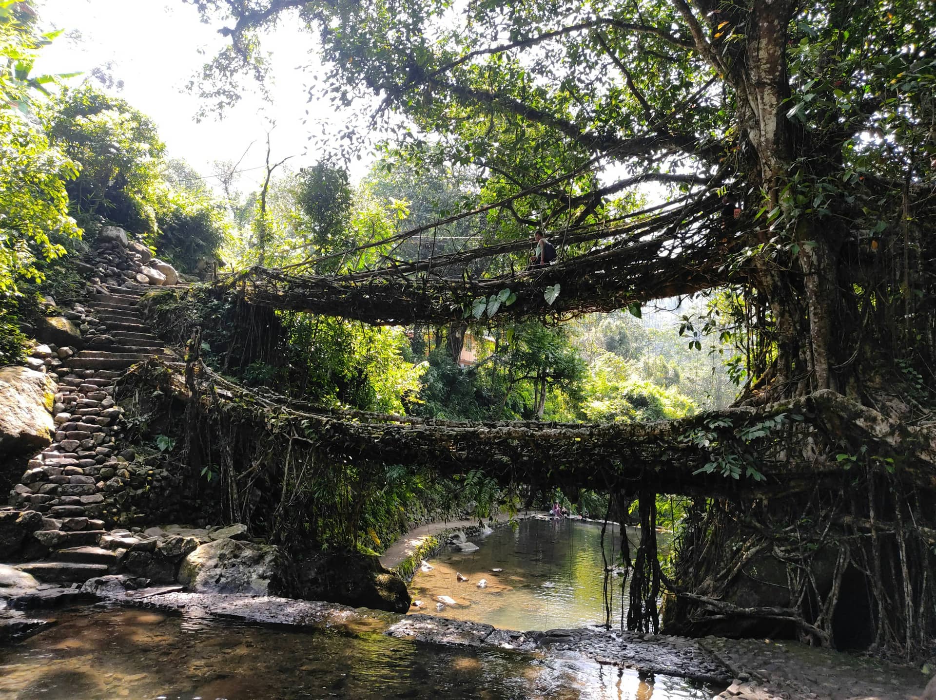 Clouds & Canyons – Meghalaya Adventure