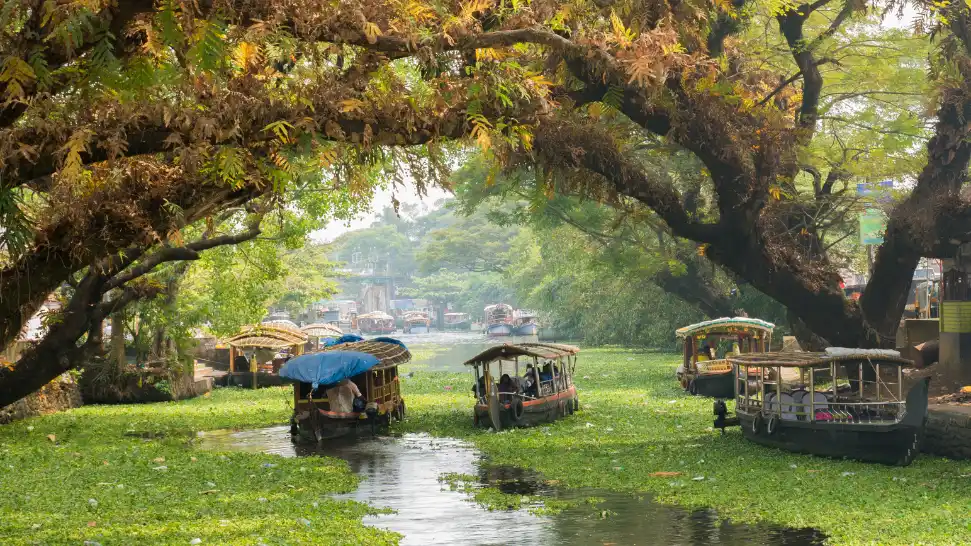 Best Time to Visit Kerala – Complete Seasonal Travel Guide