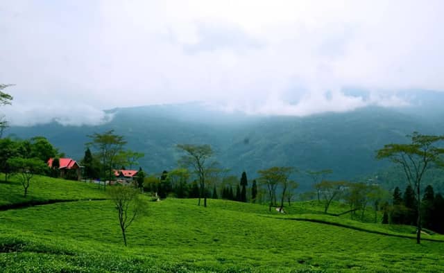 Jammu and Kashmir tourism featuring Dal Lake shikara rides, Gulmarg snow peaks, Vaishno Devi Temple, and scenic valleys