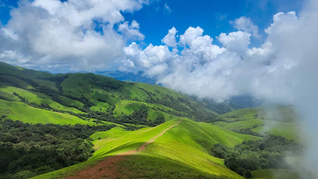 Coorg + Chikmagalur