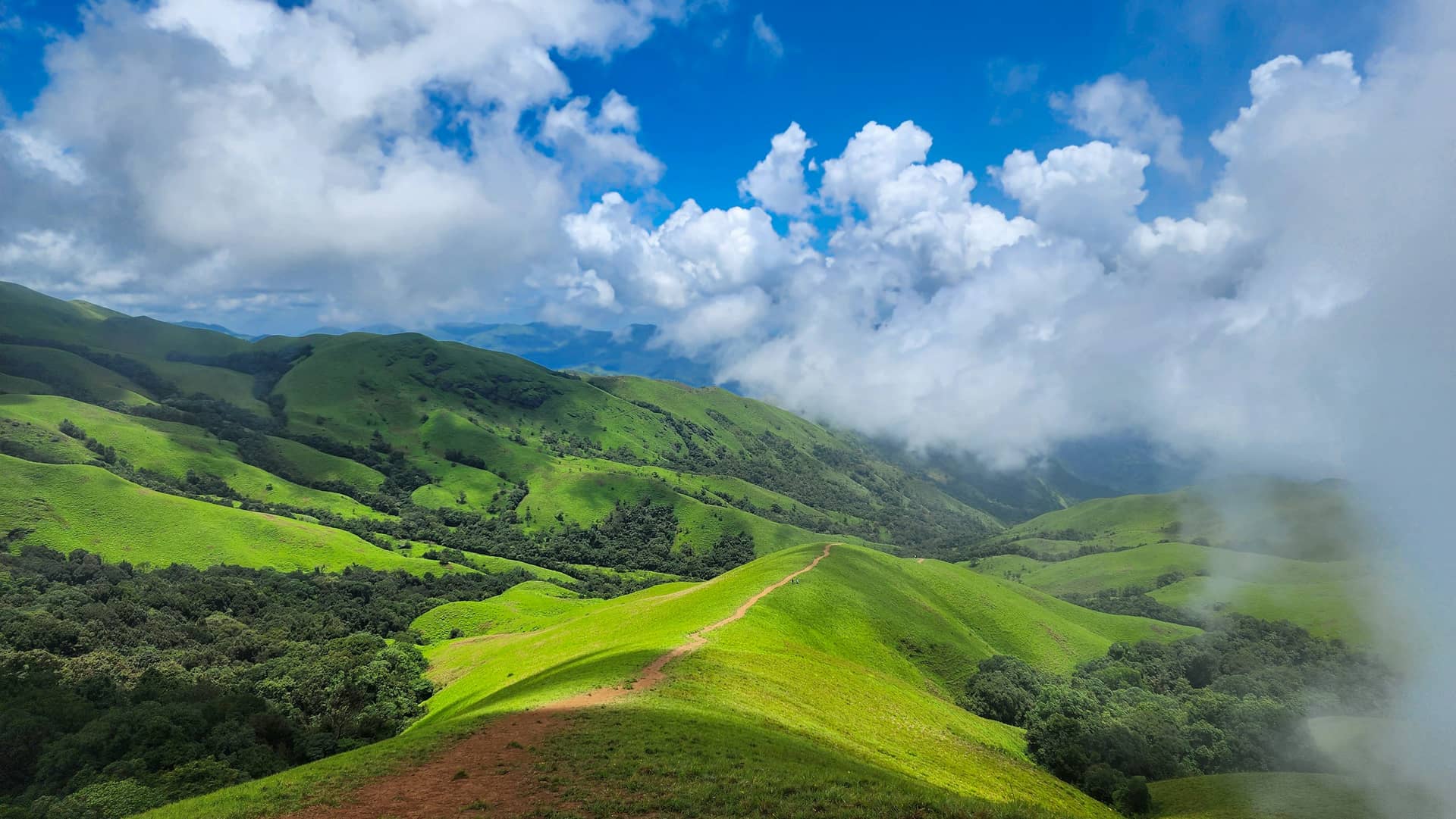 Coorg + Chikmagalur