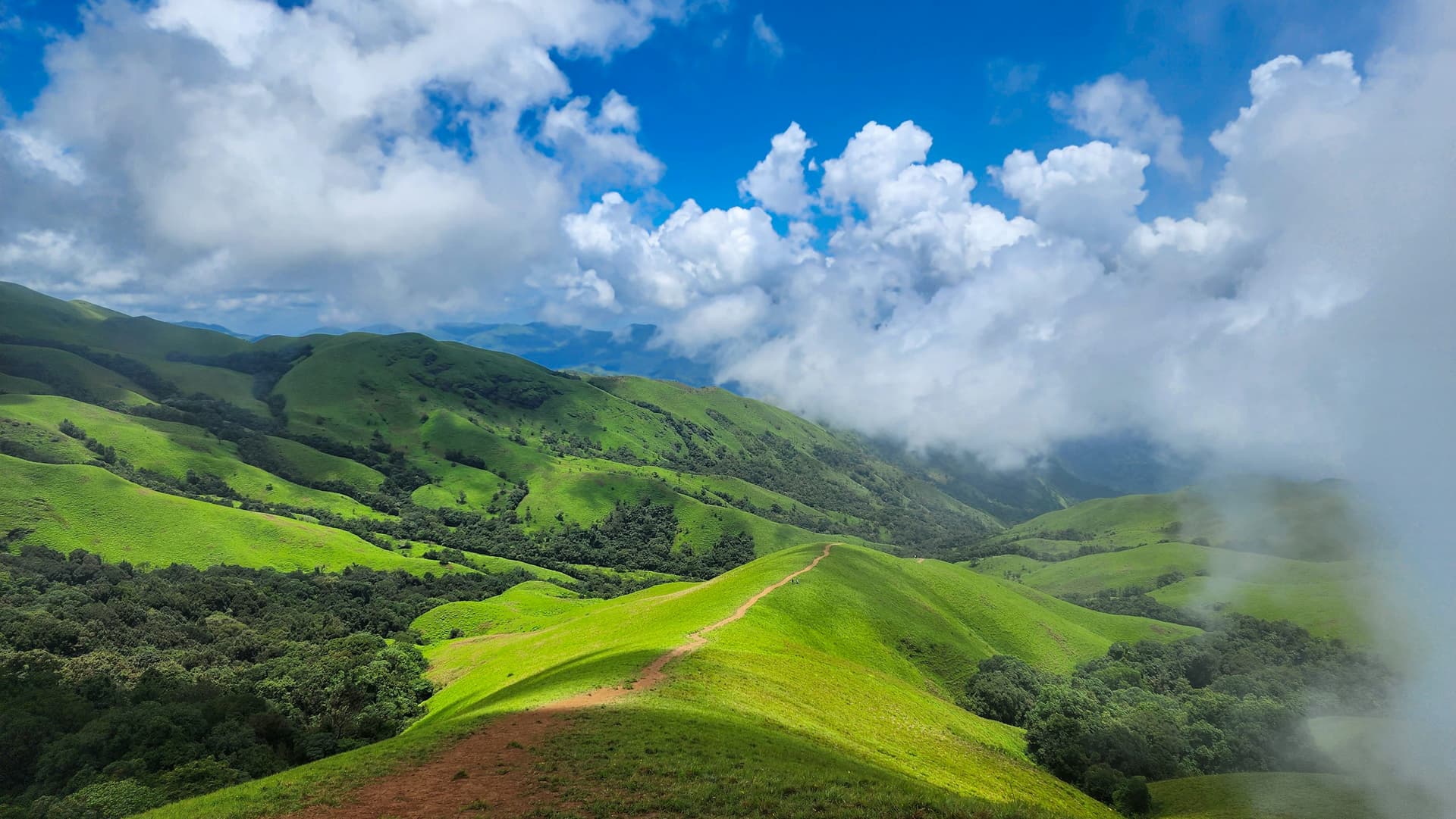 Coorg + Chikmagalur