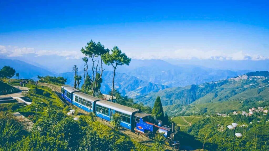 Darjeeling Delight
