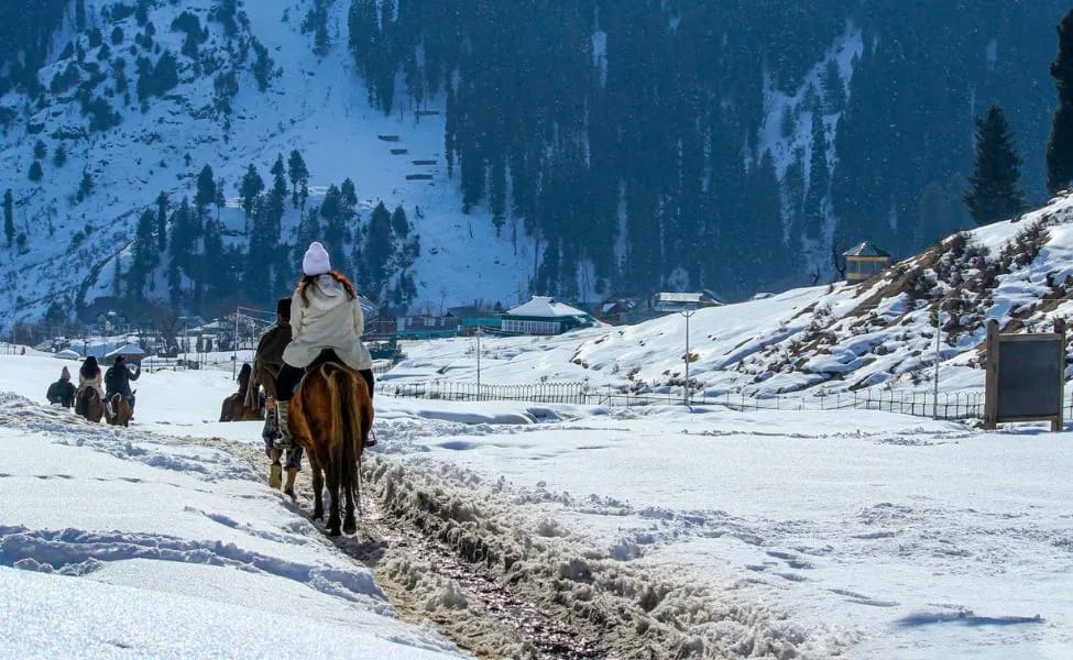 Explore Paradise on Earth, Visit Kashmir in November