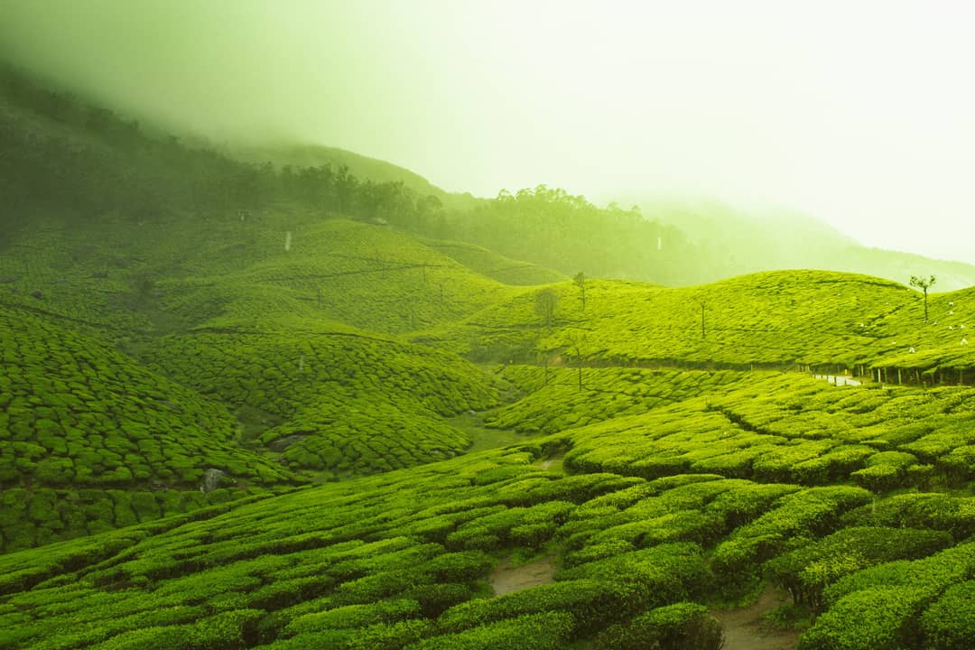 Ooty Weekend – 2N/3D