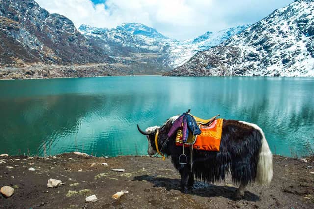 Sikkim tourism showcasing Gangtok city, Tsongmo Lake, Nathula Pass snow, Himalayan valleys, and Buddhist monasteries