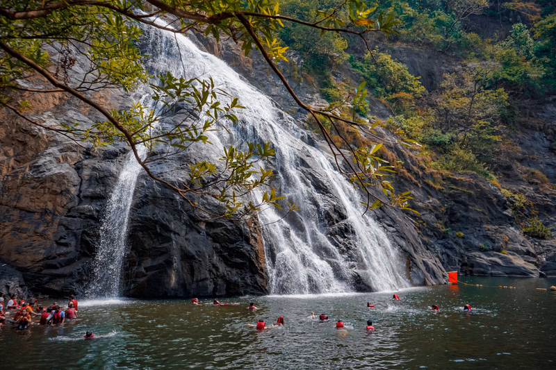 Goa + Dudhsagar Waterfall + Spice Plantation