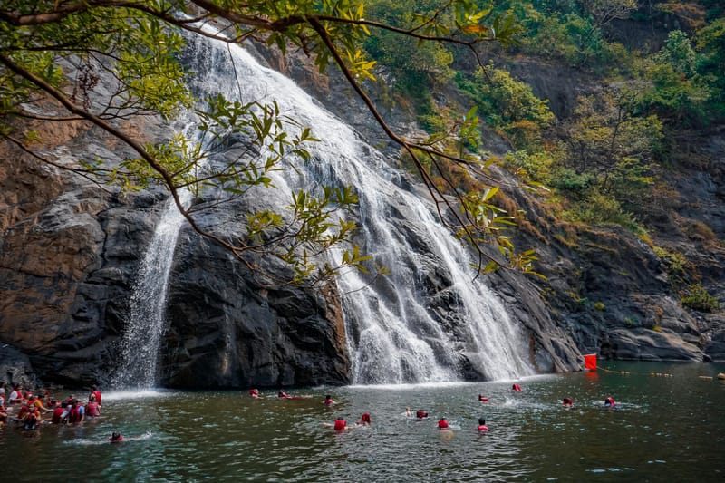 Goa + Dudhsagar Waterfall + Spice Plantation