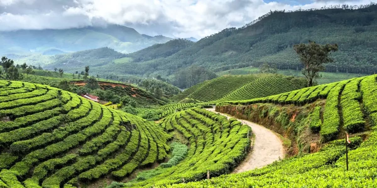 Darjeeling & Gangtok Delight Combo Tour image 3