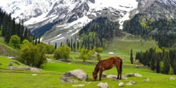 Scenic view of Indian destinations in June with mountains and greenery