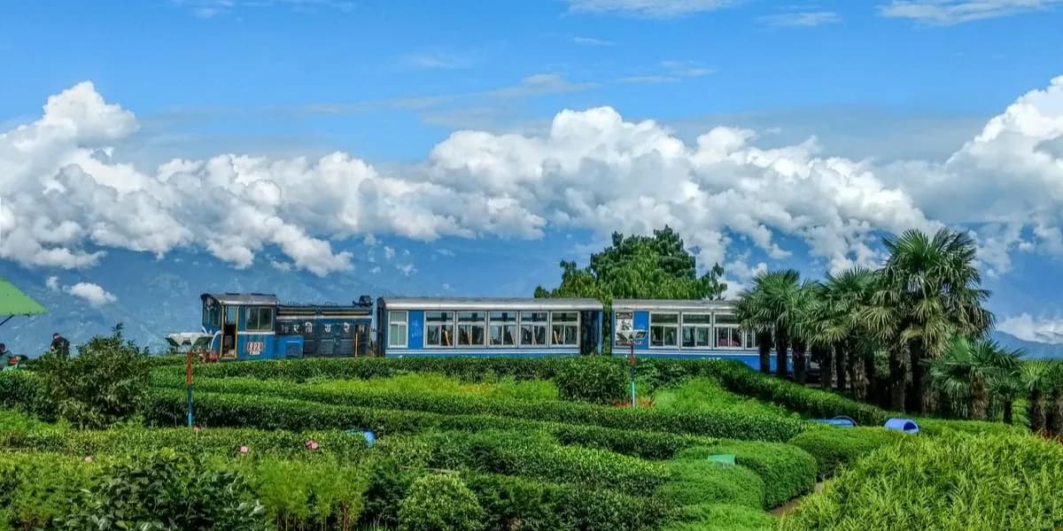 Darjeeling & Gangtok Delight Combo Tour image 7