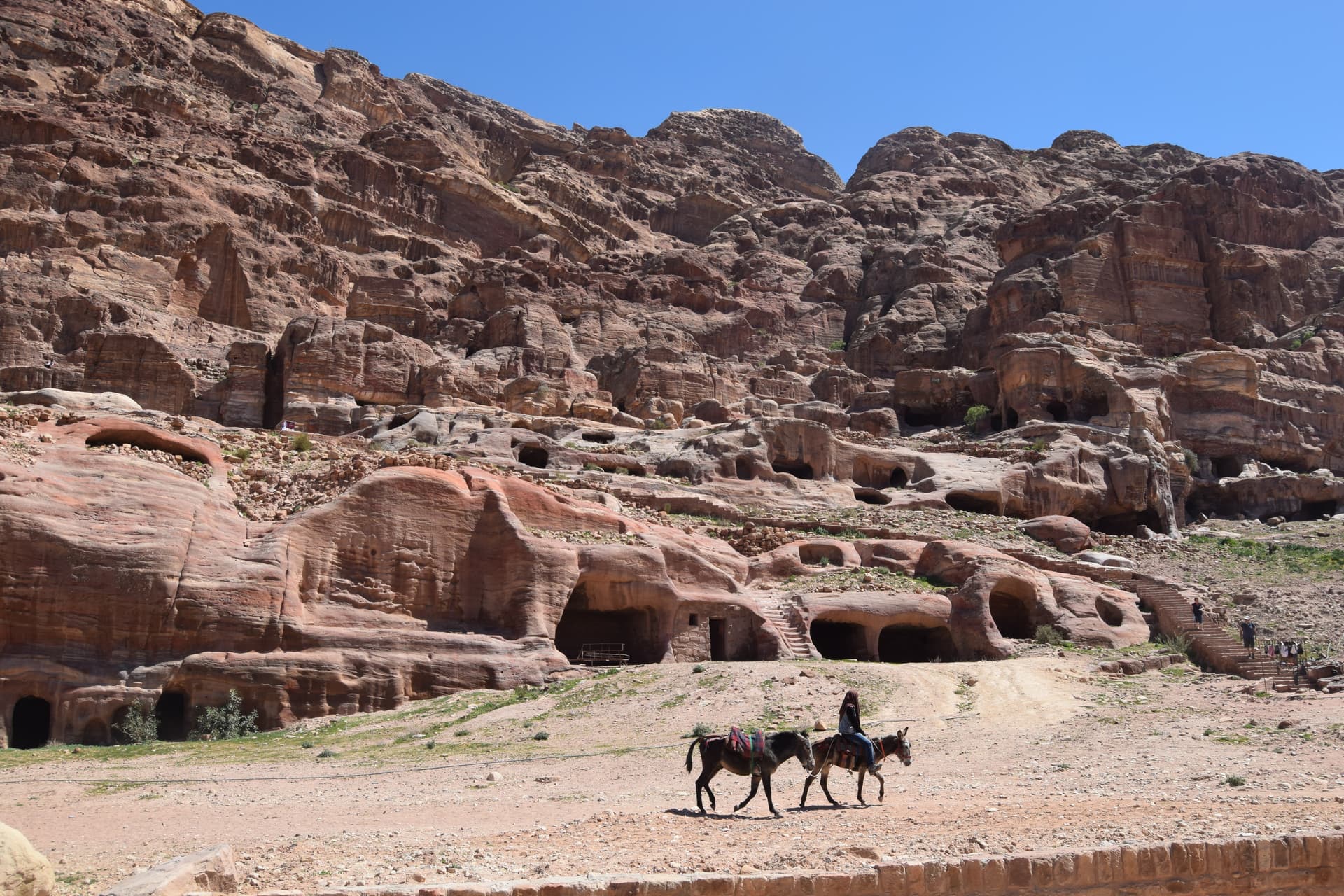 Jordan + Petra + Dead Sea Experience image 2