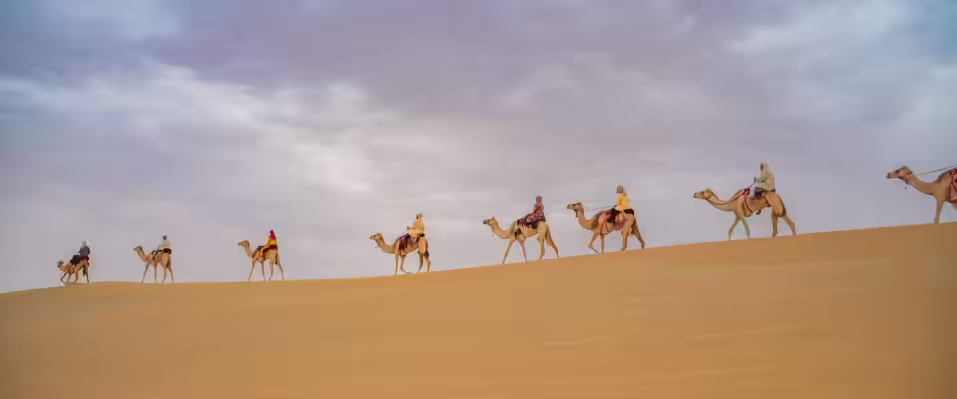 Jaisalmer Desert Majesty image 4