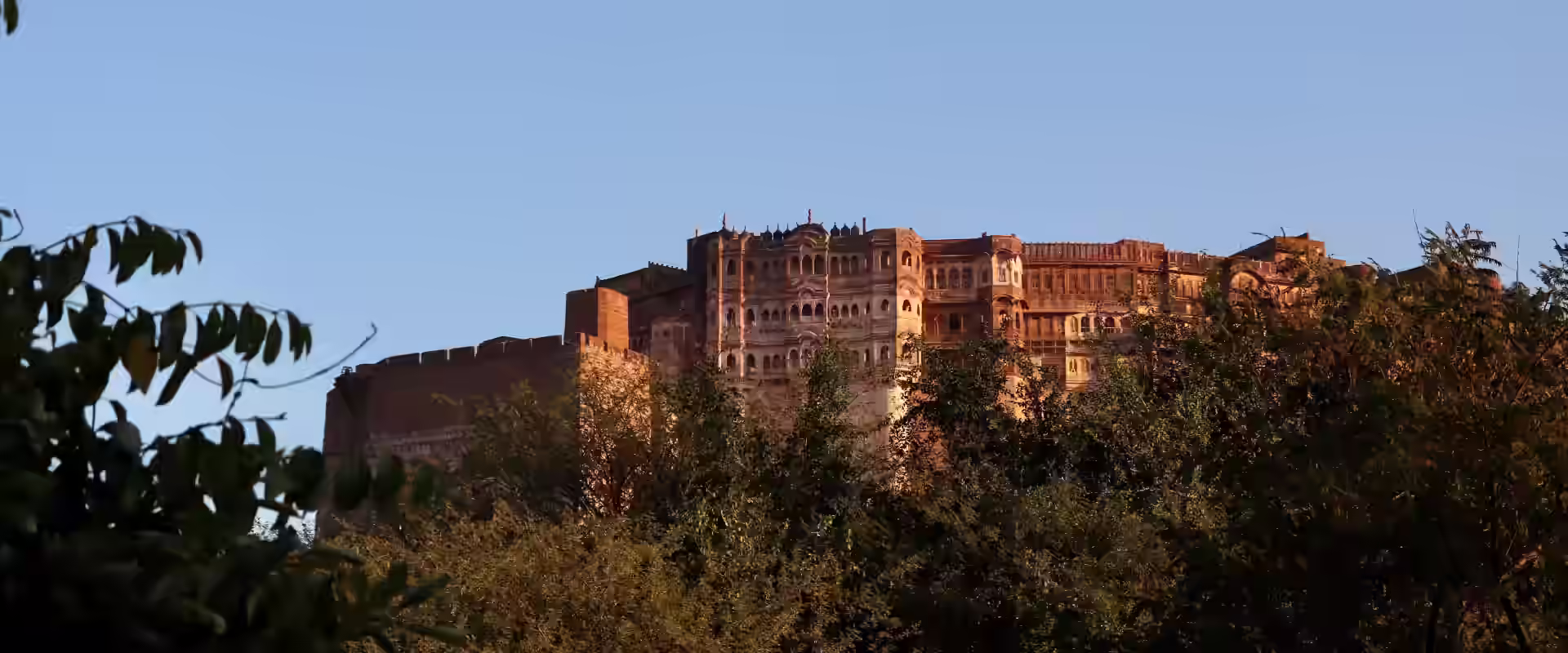 Jodhpur–Jaisalmer Roadtrip image 3