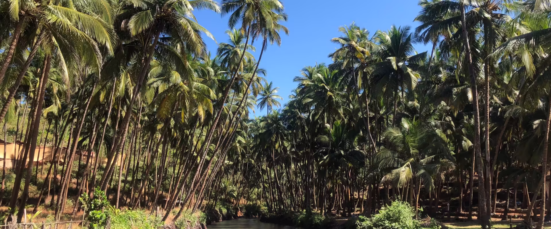 Konkan Coast Scenic Drive image 7